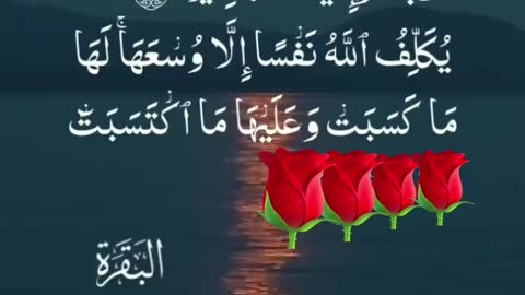 Dua