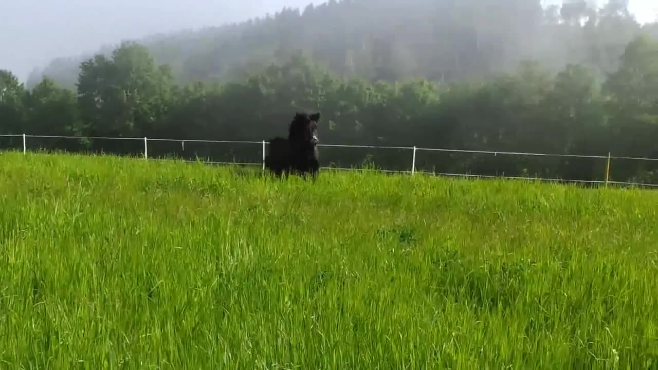 Berdalsdina sjekker ut ridebanen på Suteren, og forteller hva hun synes.