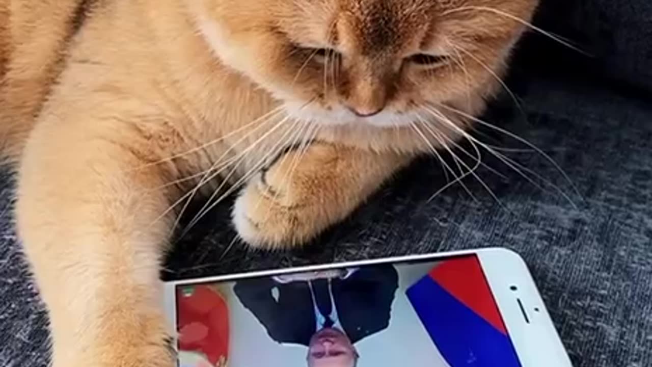 “Dear friends, I know it’s difficult right now, but please wait patiently.”