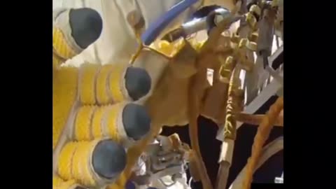 todo astronauta tem uma qualificação de mergulho