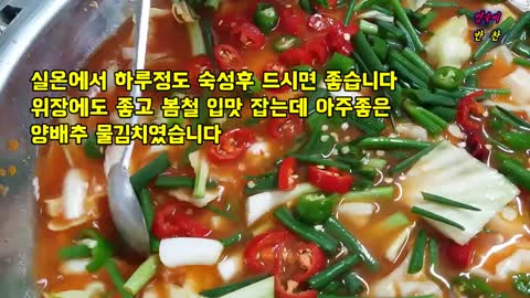 [양배추] 물김치 , 만들기 쉽고 맛있고 위장에 좋은 물김치 , 양배추 물김치, 위에 좋은 물김치, 아주쉬운 물김치 만들기 ,korean food