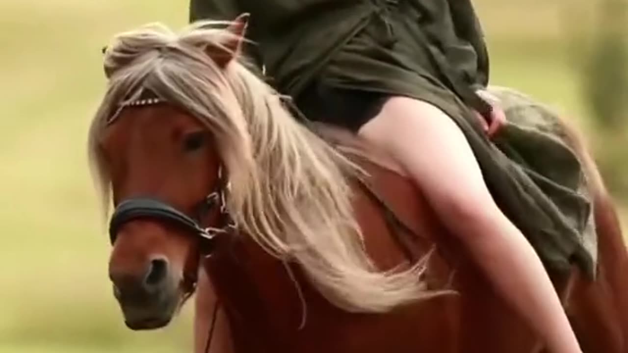 HOURSE RIDE SEXY GIRL