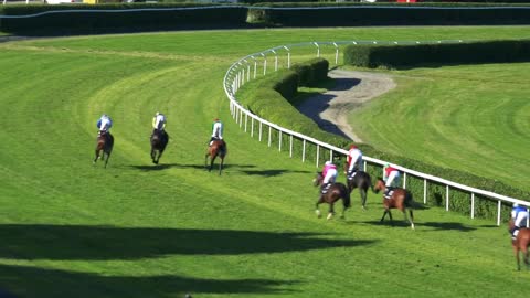 racecourse - riders on horses