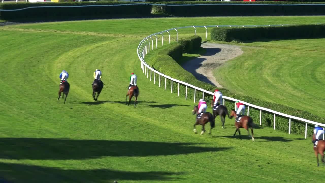 racecourse - riders on horses