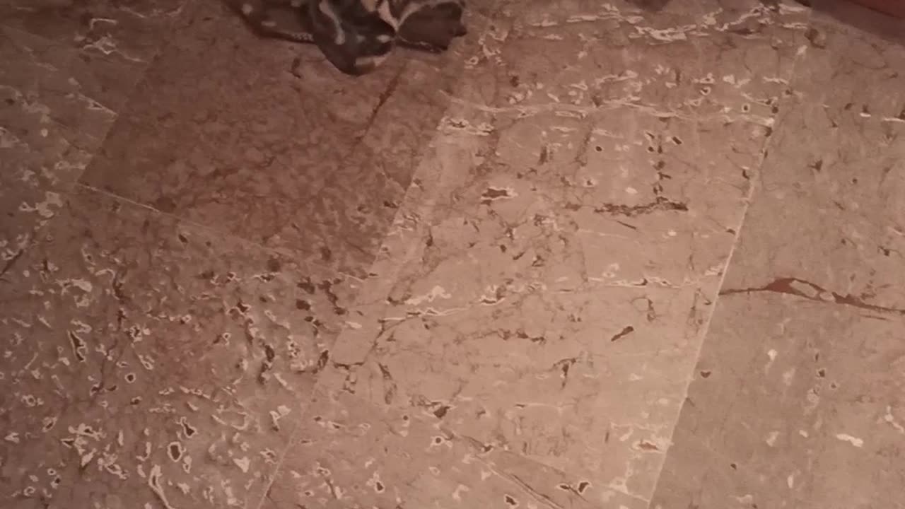 The ball gets away!