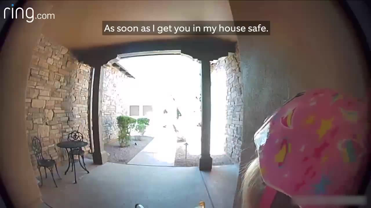 Taylor Talks to Her Neighbor On Ring Video Doorbell After Running Away From a Bobcat _ RingTV