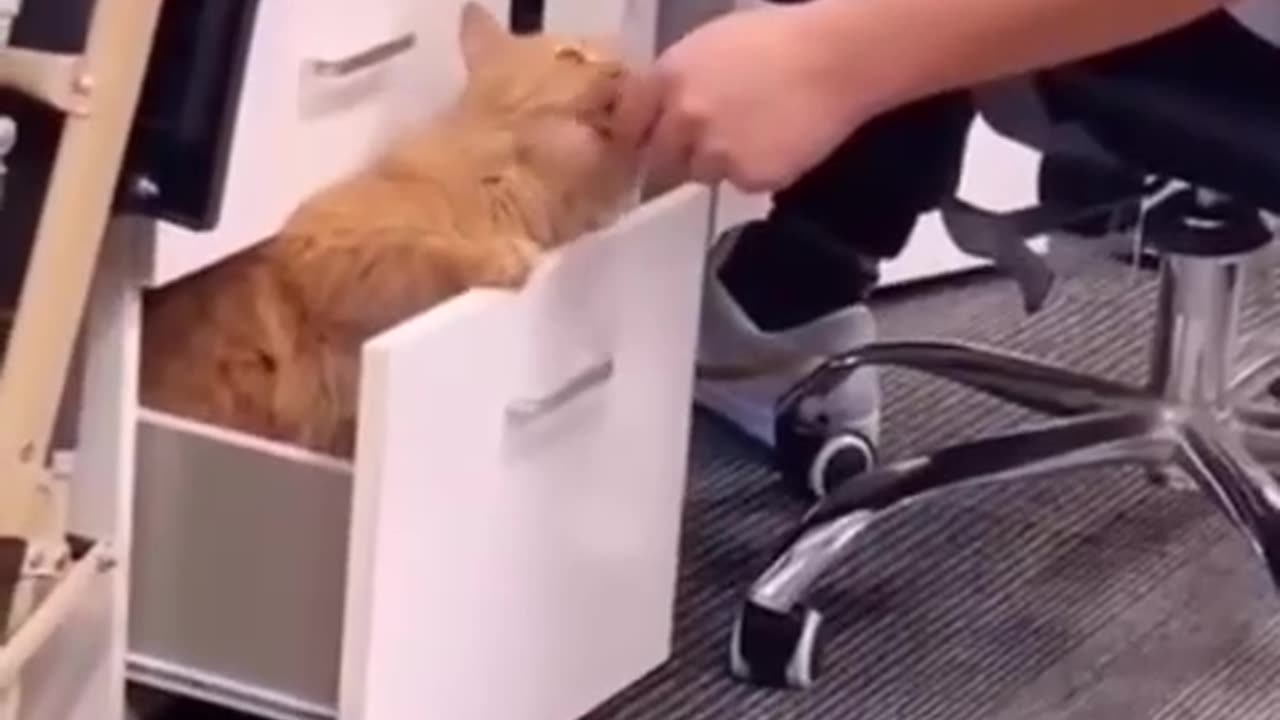 Only one thing can help you in a stressful job.