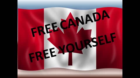Canadian Charter