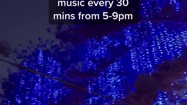 Reminder: Hotel Del's Holiday lightshow opens on 11/17.