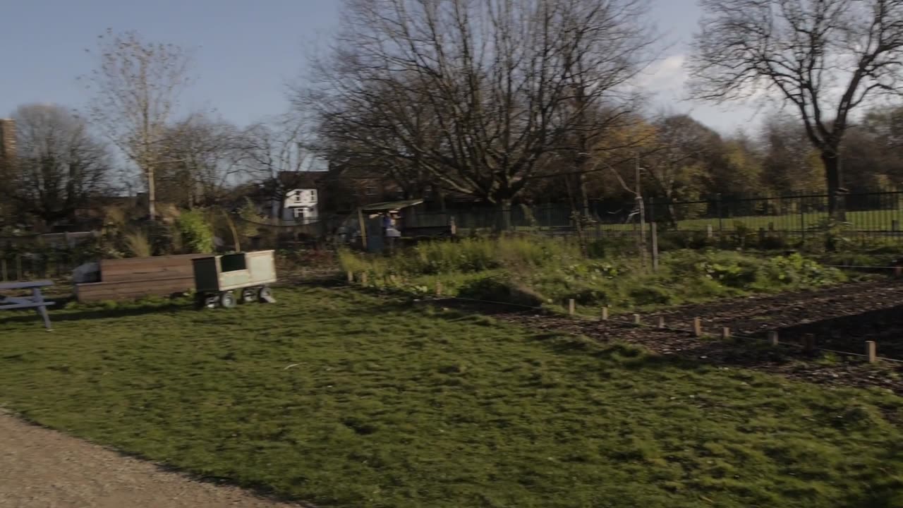 5 Ways That Mushroom Farms Benefit Communities _ GroCycle