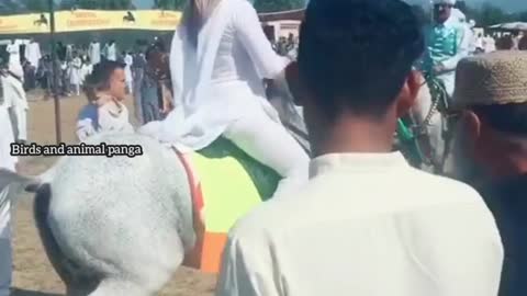 Beautiful girl riding a horse 🐎😱