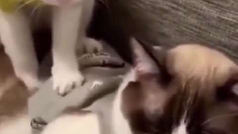 30 dollars for 1 massage