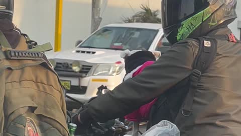 Motorcyclist Shows off Cute Pup While Stopped on Street