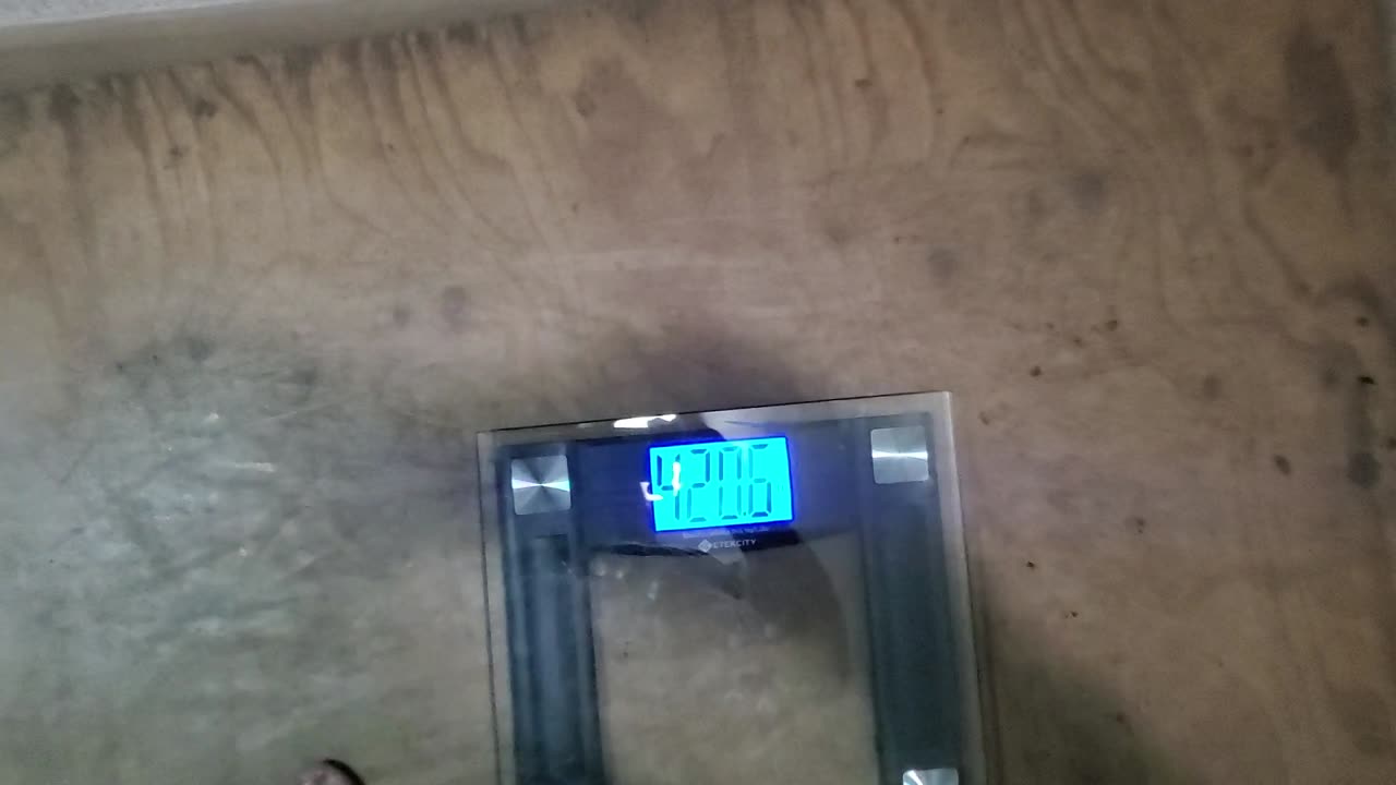 Weigh-In June 3, 2023