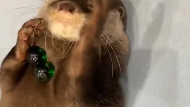 I will roll the ball time and again