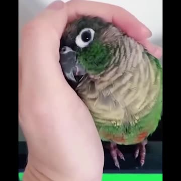 Unbelievable Moments Caught On Camera💯🔥 Like A Boss Compilation 😳🚀 Respect EP 106