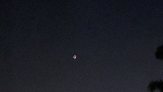 Beaver Blood Moon Total Lunar Eclipse 5 🦫🩸🌚 #4K #HDR #DolbyVision