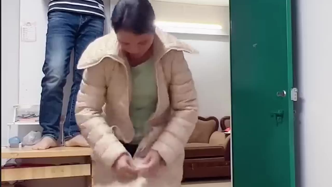 Best funny videos