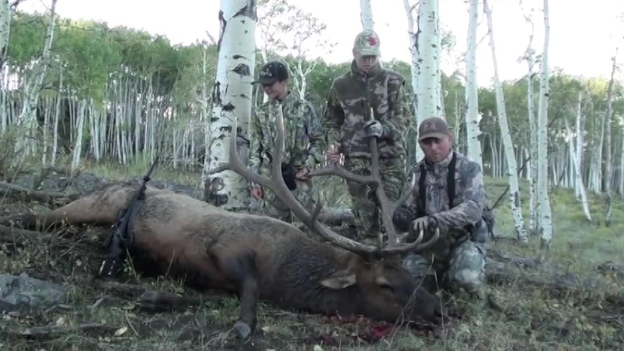 Kid takes down a big bull!