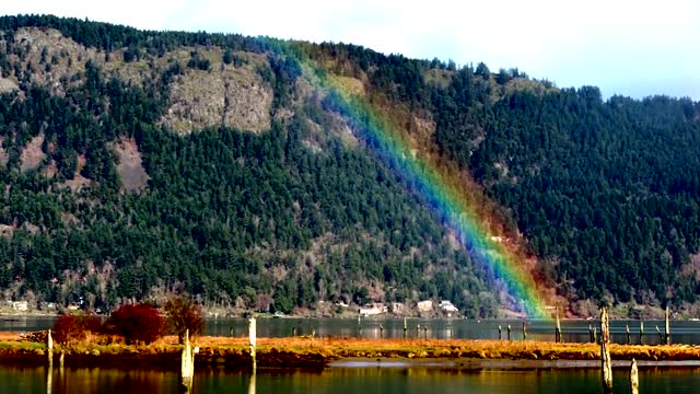 Cowichan Bay Vancouver Island