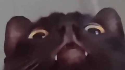what do you think hes staring at