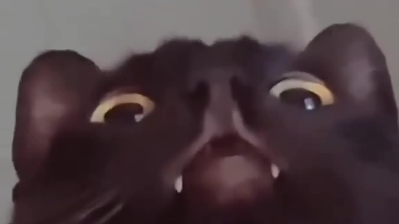 what do you think hes staring at