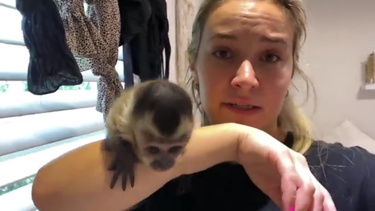 ππ₯°ππNEW BABY MONKEY AT MY HOUSE!
