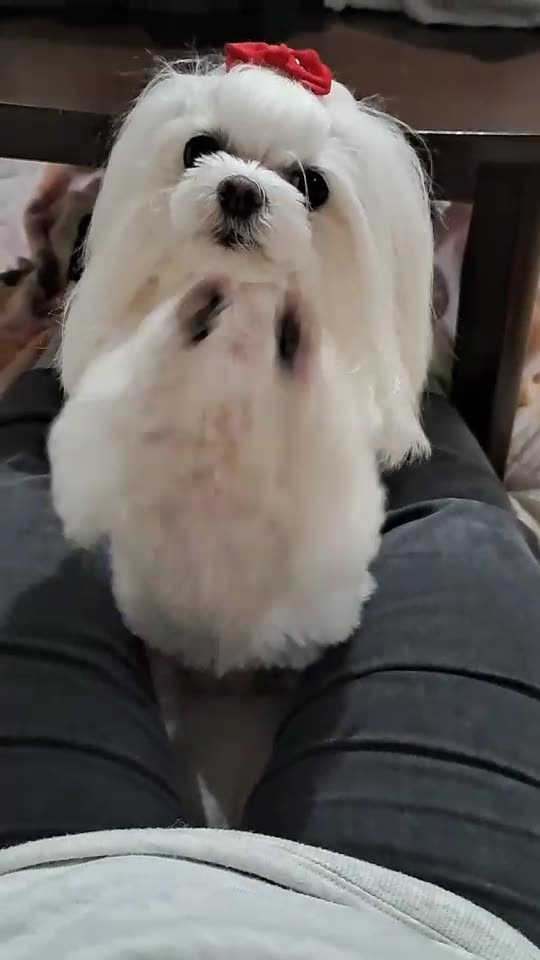 Don't miss the shocking last scene!