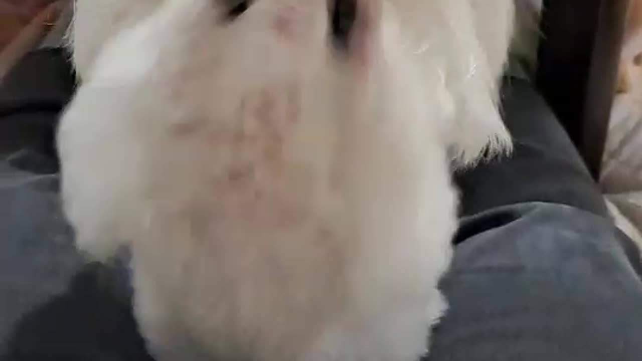 Don't miss the shocking last scene!