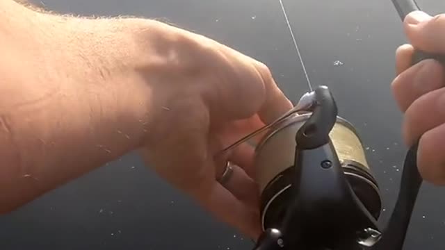 Anyone catch this weekend