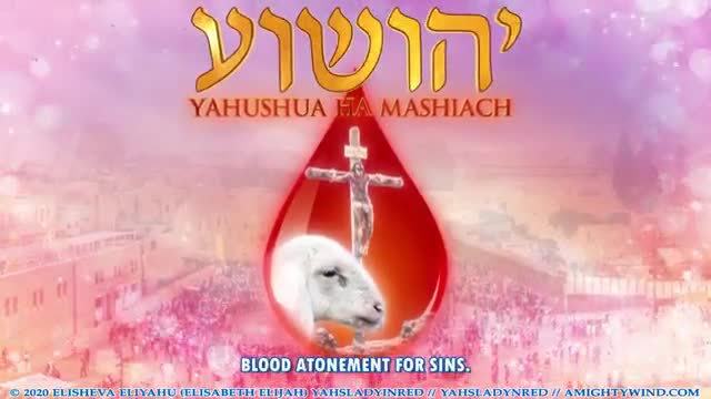 YAHUSHUA THE PERFECT BLOOD ATONEMENT for our sins