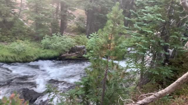 Central Oregon - Three Sisters Wilderness - Rip Roarin' Creek