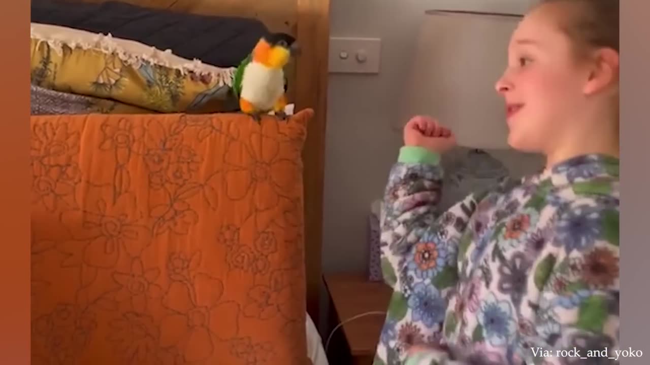 The FUNNIEST Parrots 🤣 Best Compilation