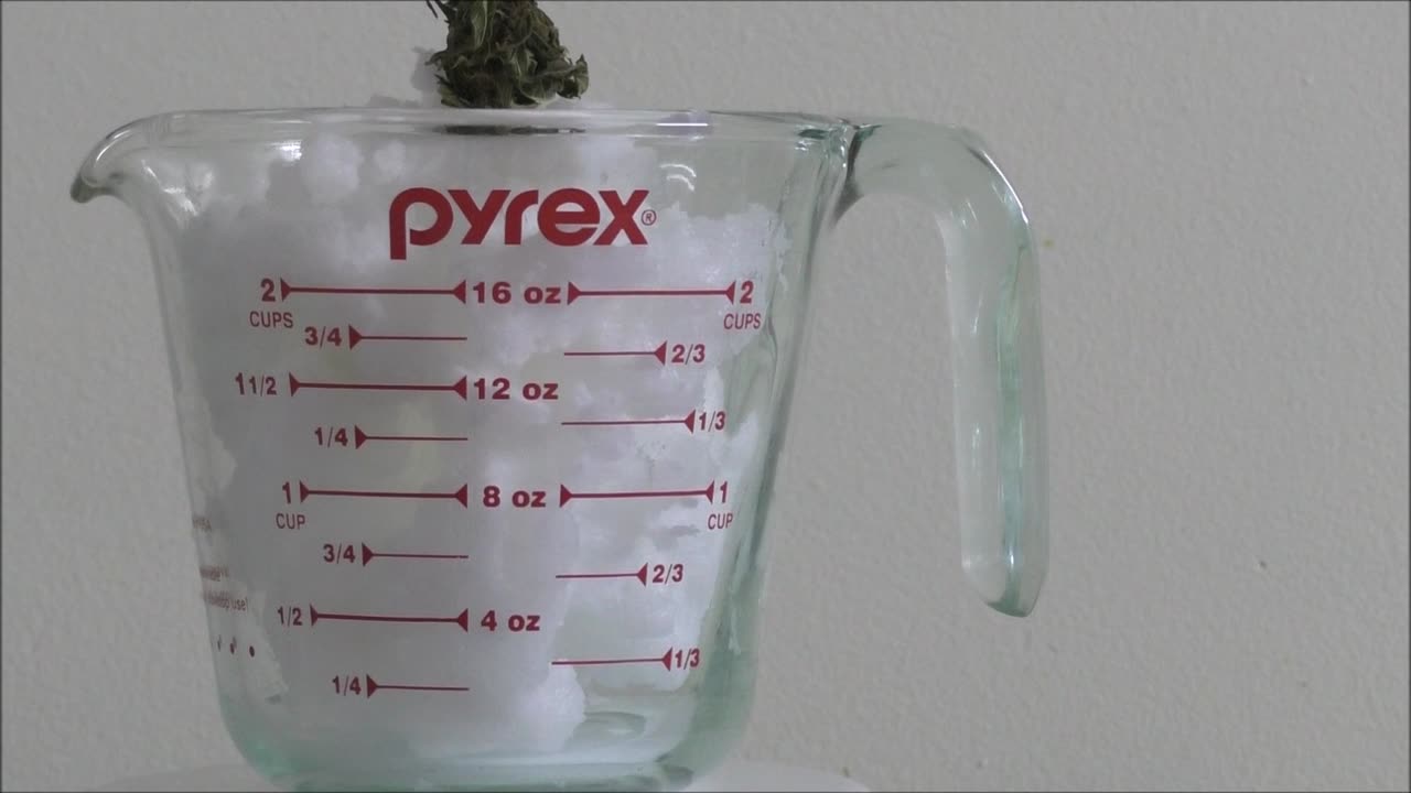 Coconut Oil Infusion