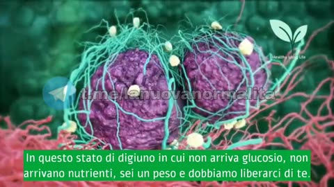 Questi 6 alimenti bruceranno i grassi