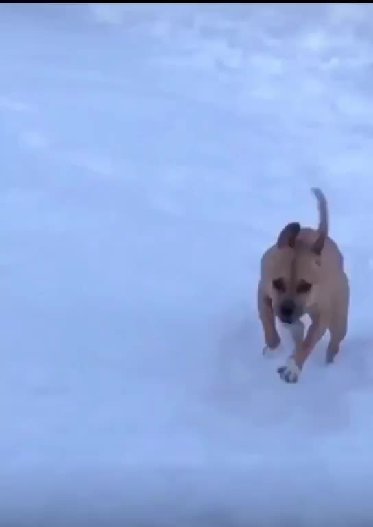 running in the snow