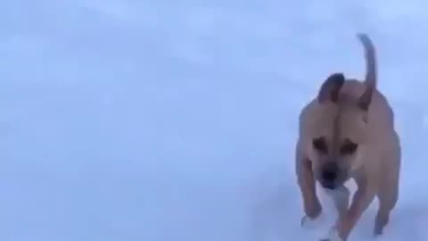 running in the snow