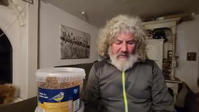 Soviel zu dem ganzen Insektenfraß