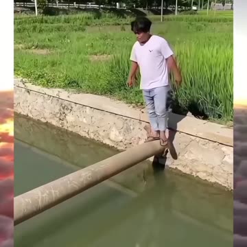 The best Funny Video