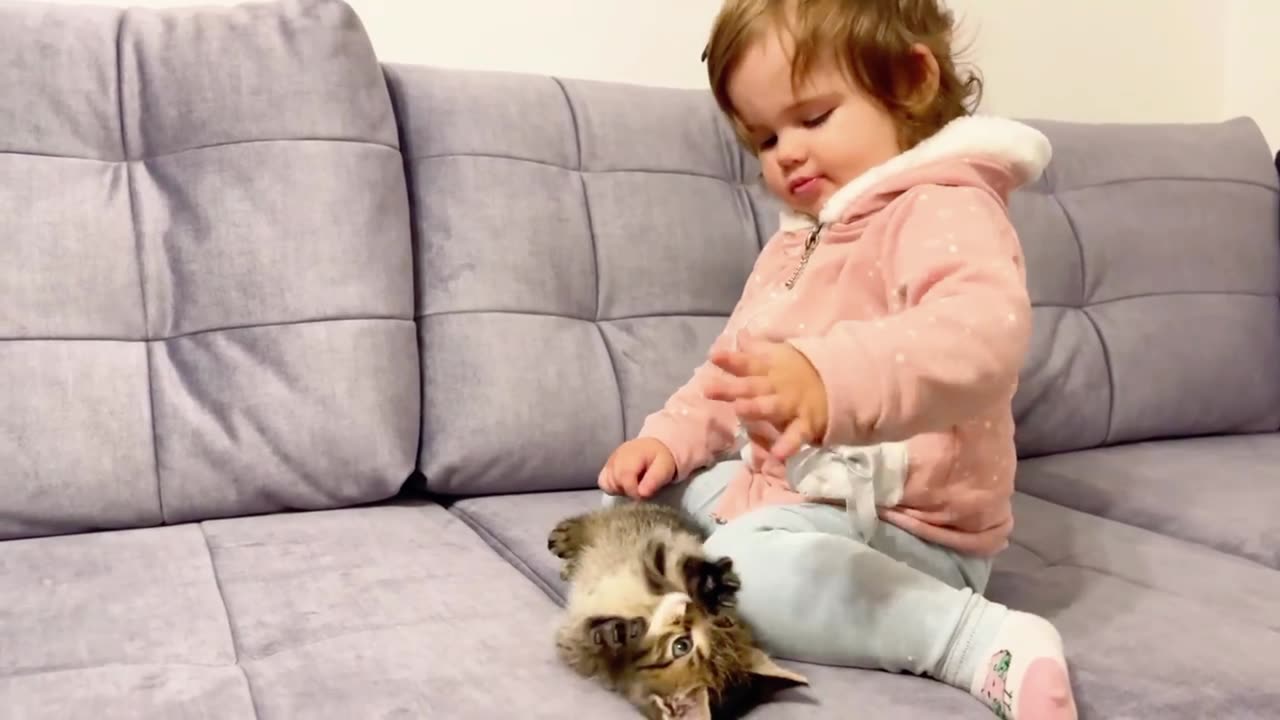 cute Baby and. Cute small. Kitten