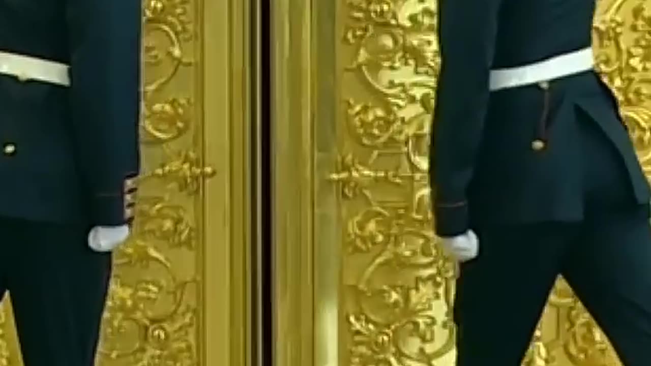 Putin entry