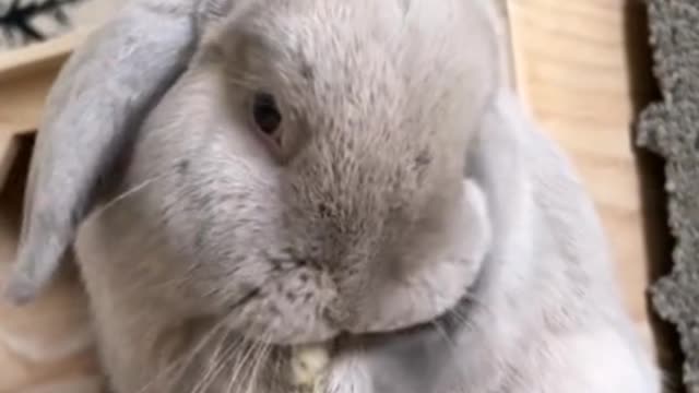 I know how to clean myself. I'm so clean!