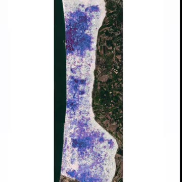 This is exactly what genocide looks like.