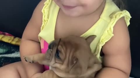 Baby and dog video