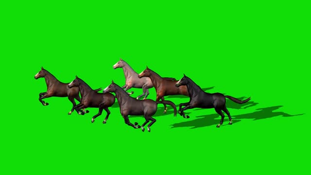synthetic typing on a group of running horse animals