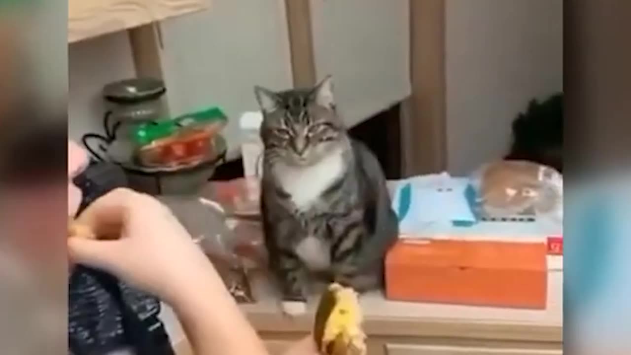 Funny@6
