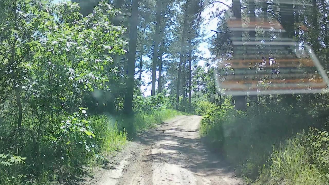 Canyon Rim Trail