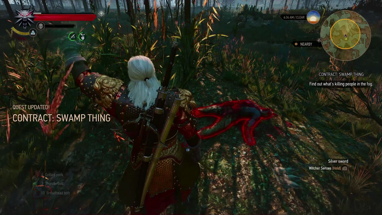 The Witcher 3 - Swamp Thing