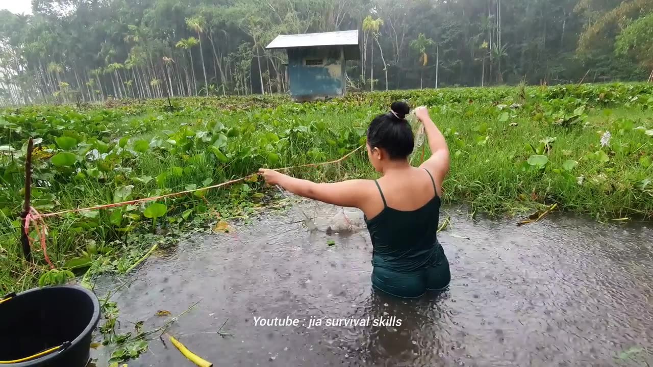 Place fishing nets in the swamp for 3 days during heavy rain