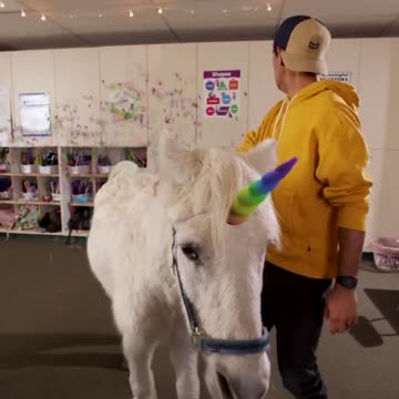 The best teacher for tricks👍